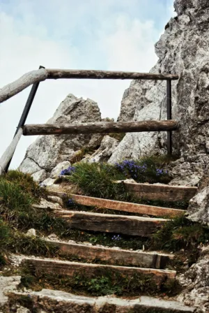 Rustic Mountain Steps