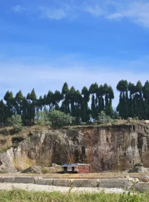 Rural Landscape With Cliff And Trees
