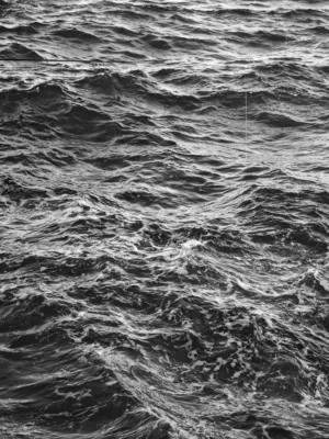 Rough Ocean Waves