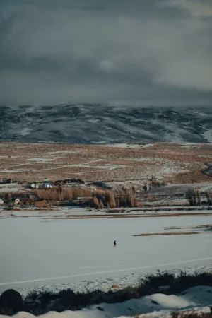 Winter Landscape