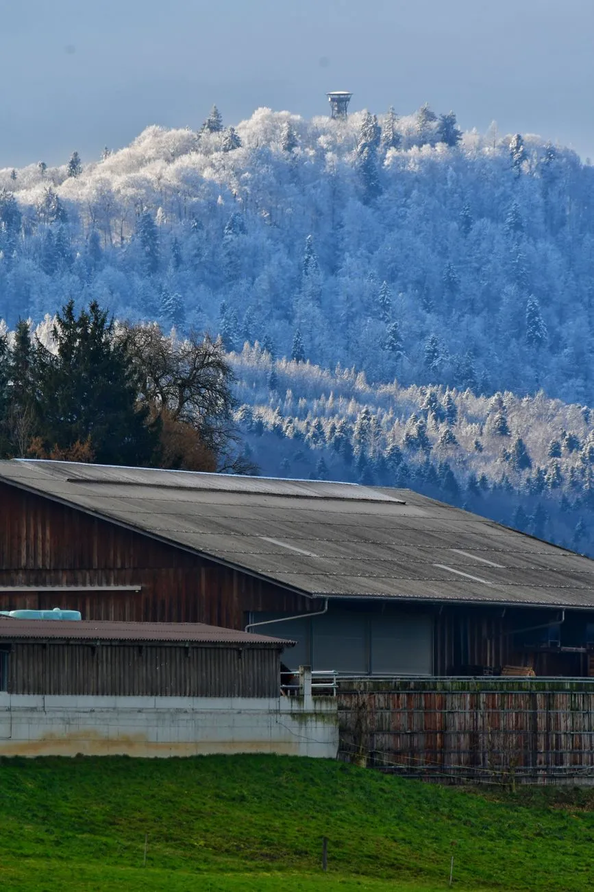 Winter Landscape With Barn