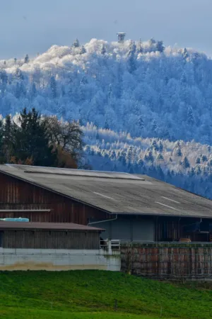 Winter Landscape With Barn