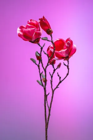 Floral Arrangement