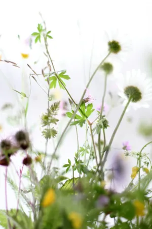 Wildflower Bouquet