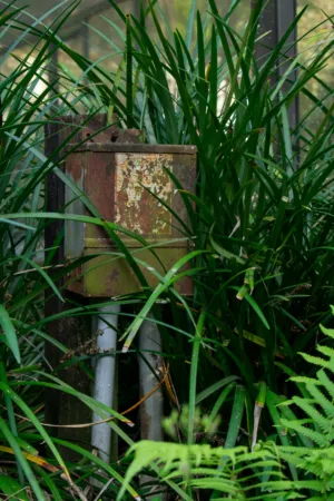 Rustic Box Amidst Greenery