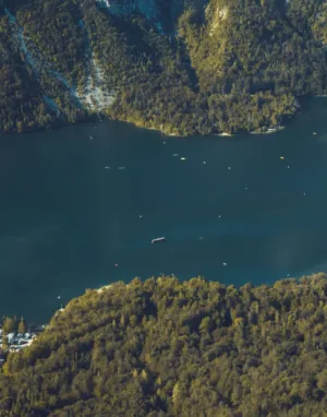 Lakeside Adventure