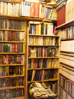 Bookshelf