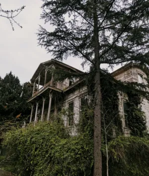 Abandoned Mansion
