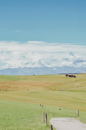 Alpine Pasture