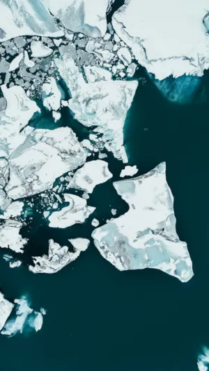 Icebergs In The Arctic