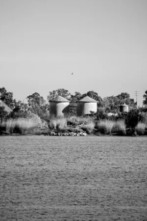 Silos By The Water