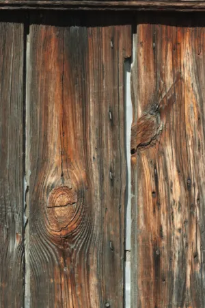 Old Wooden Door