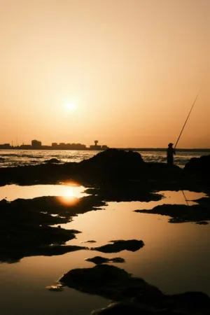 Sunset Fishing