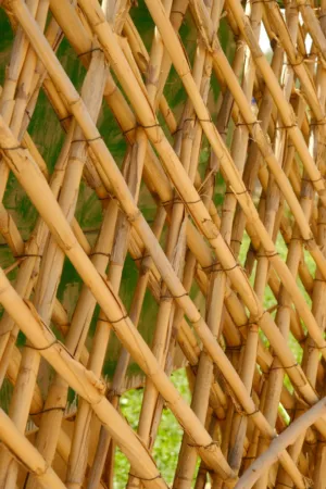 Bamboo Weave