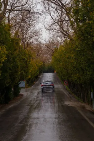 Rainy Drive