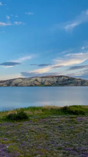 Lakeside Landscape