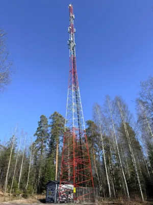 Cell Tower In Forest