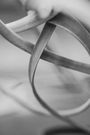 Abstract Plant Leaves