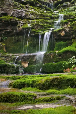 Mossy Waterfall