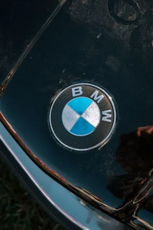 Bmw Emblem