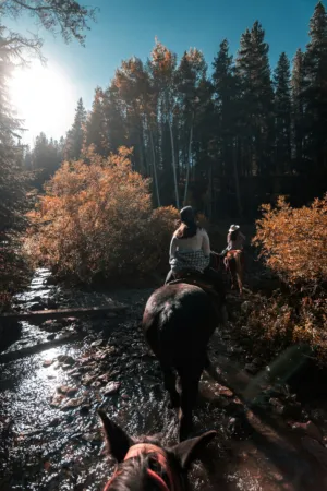 Horseback Riding In The Forest