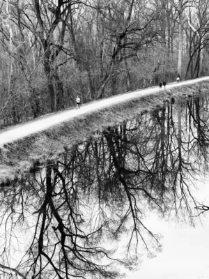 Reflective Path