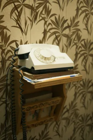 Vintage Telephone On Shelf