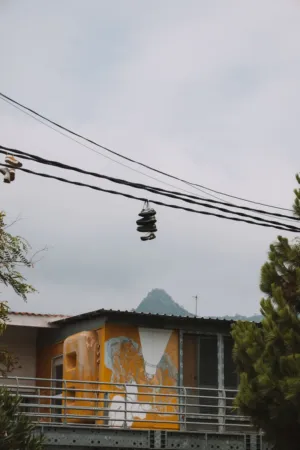 Shoes On A Wire