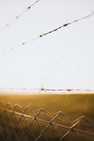 Sunset Fence