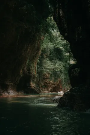 Canyon View