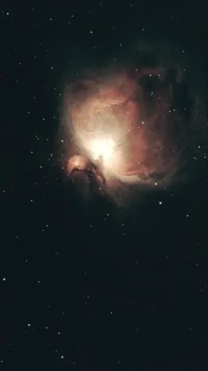 Orion Nebula