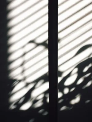 Shadow Play