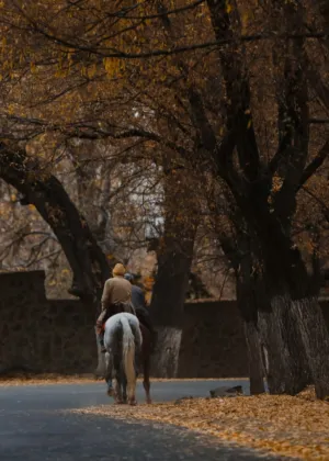 Autumn Ride