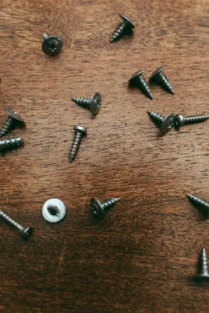 Screws On Wood