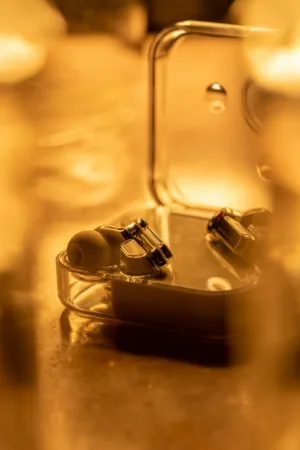 Earbuds In Case