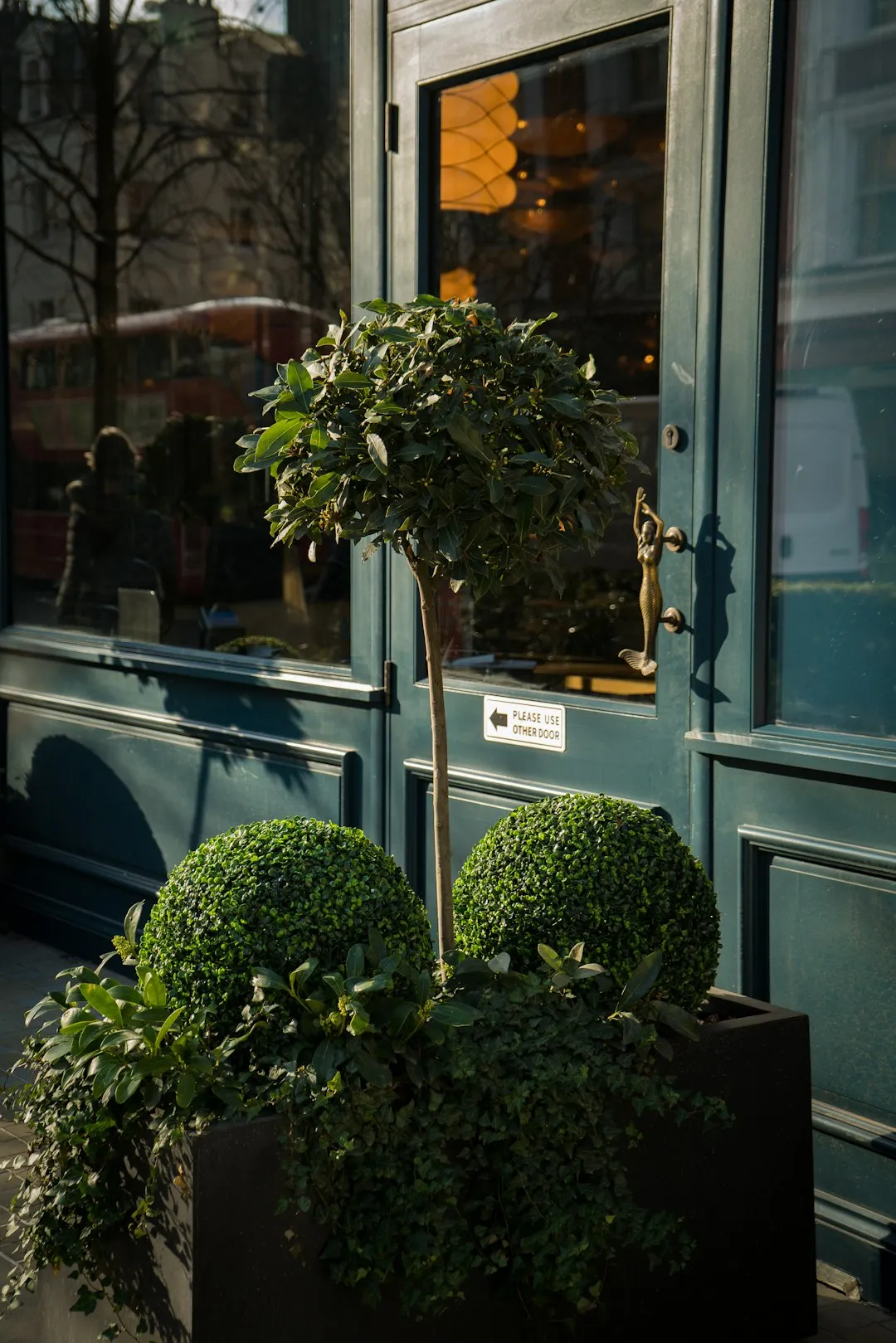 Urban Greenery