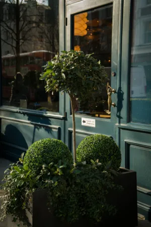 Urban Greenery