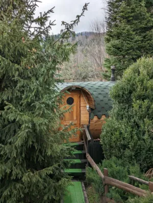 Wooden Hut In Forest