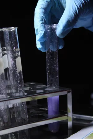 Scientific Experiment