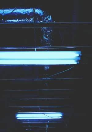 Blue Neon Lights