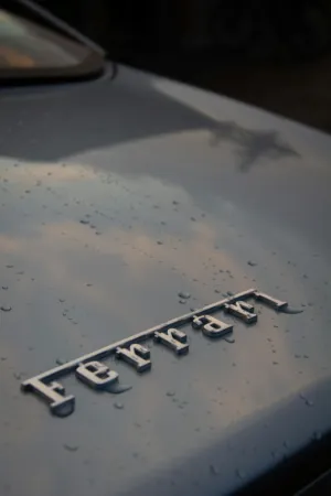 Ferrari Emblem On A Rainy Day