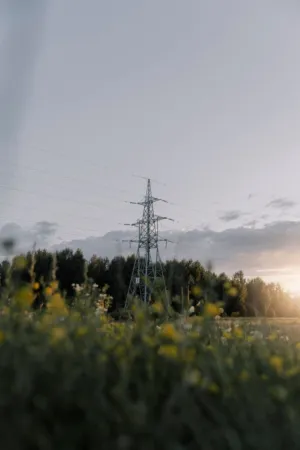 Electric Tower In The Field