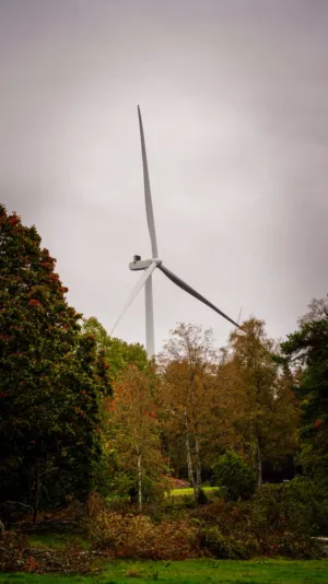 Wind Turbine In Nature