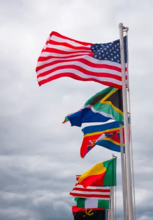 International Flags