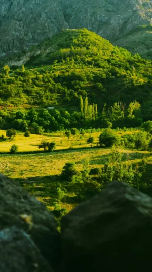 Green Hills And Mountains