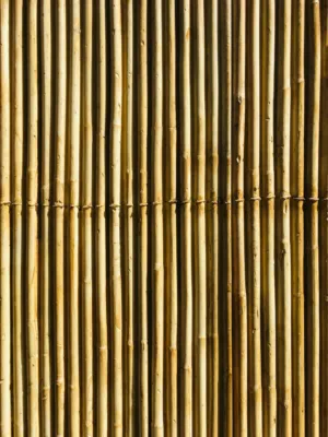 Bamboo Wall