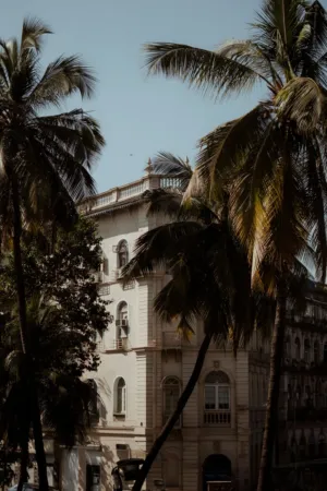 Palm Trees And Building