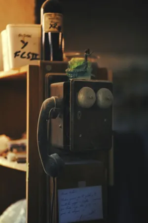 Vintage Telephone