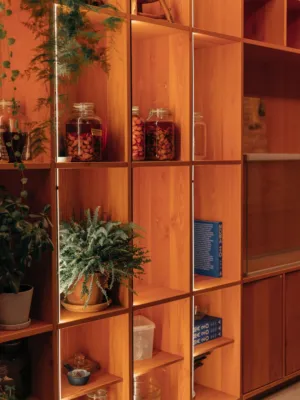 Wooden Shelving Unit With Plants And Jars