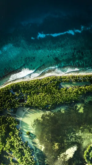 Aerial View Of Tropical Coastline